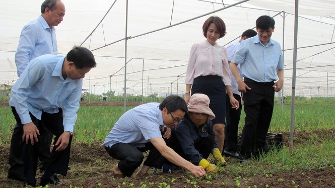 Phó Thủ tướng Vũ Đức Đam kiểm tra công tác đảm bảo an toàn thực phẩm tại Bắc Ninh - ảnh 1